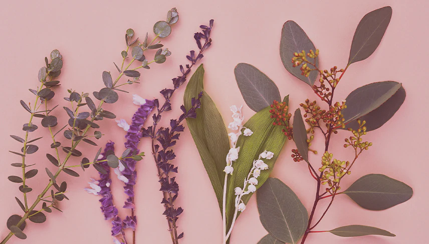 Mindful Aroma