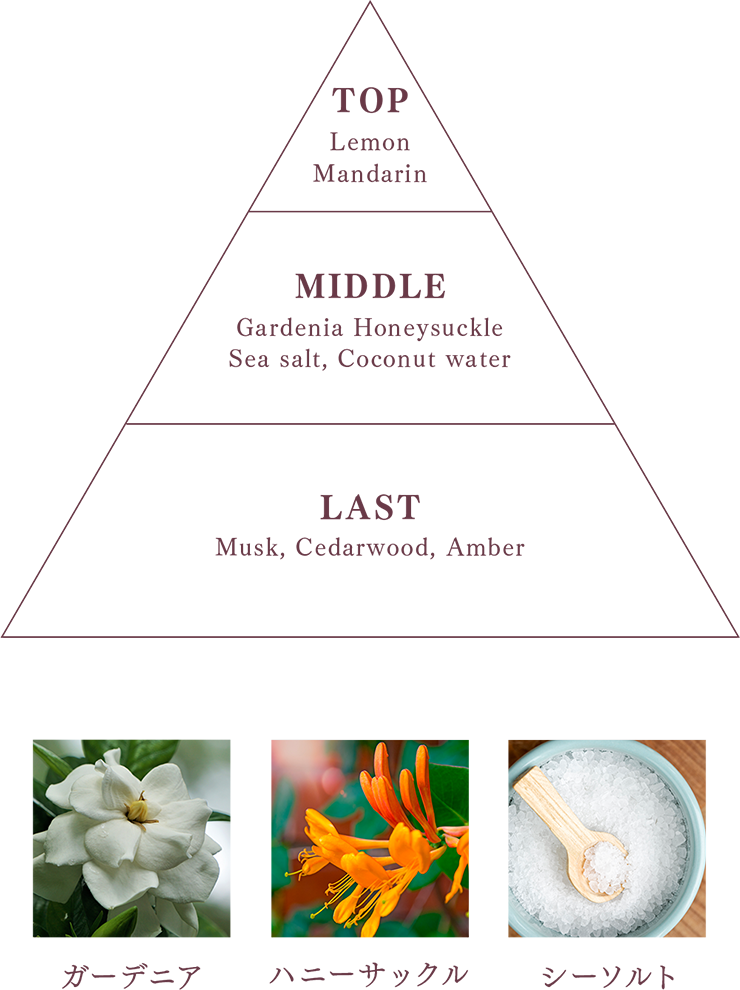 TOP Lemon Mandarin / MIDDLE Gardenia Honeysuckle Sea salt, Coconut water / LAST Musk, Cedarwood, Amber | ガーデニア ハニーサックス シーソルト