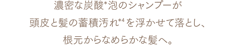 濃密な炭酸*泡のシャンプーが頭皮と髪の蓄積汚れ*4を浮かせて落とし、根元からなめらかな髪へ。
